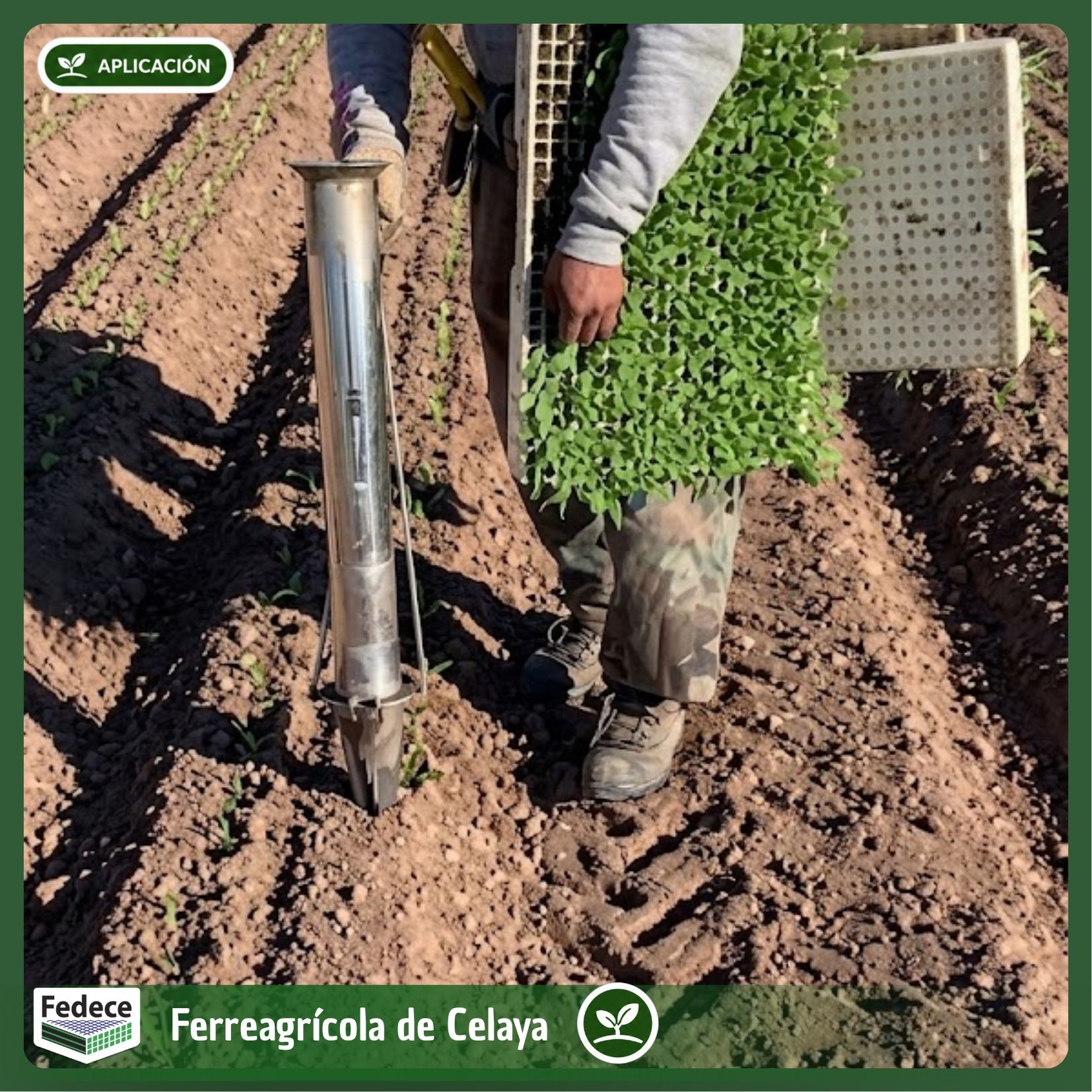 PLANTADORA MANUAL