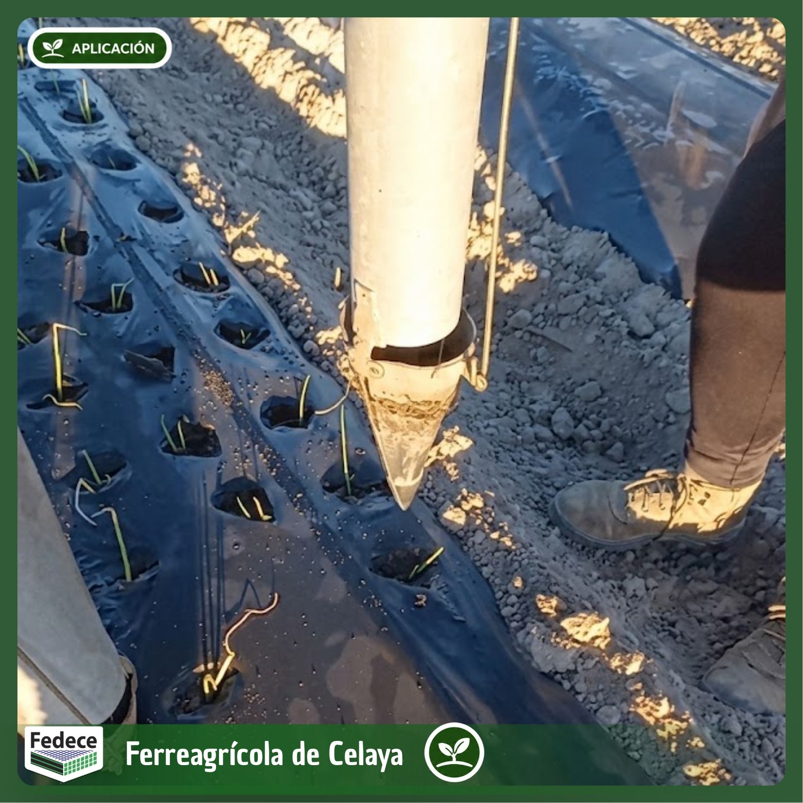 PLANTADORA MANUAL