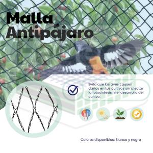 MALLA ANTIPÁJARO