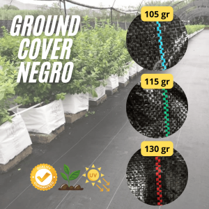 GROUND COVER