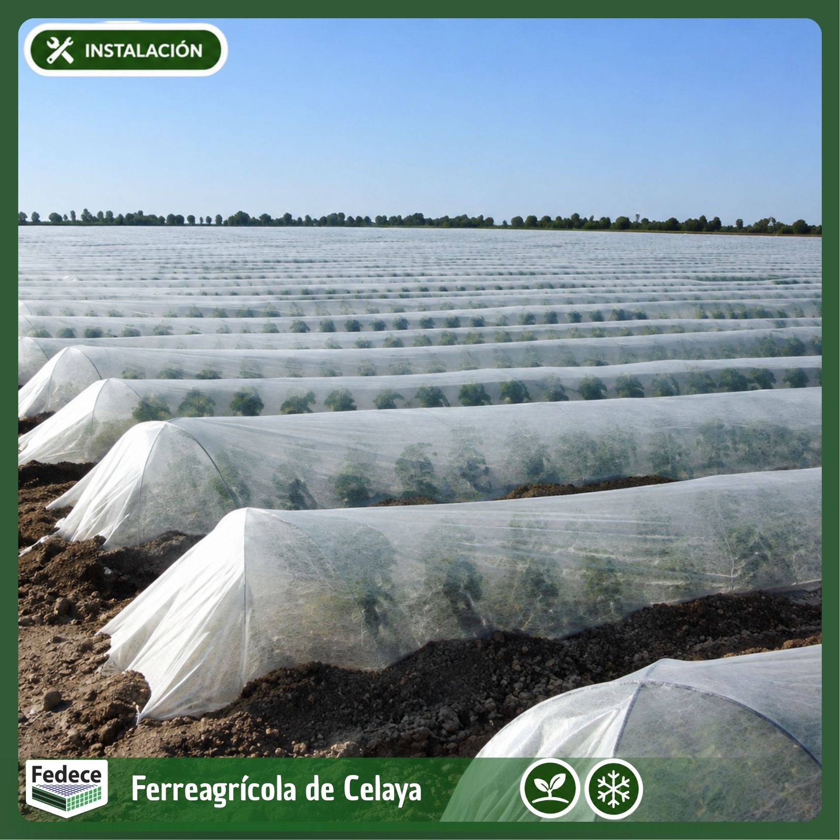 AGROVELO