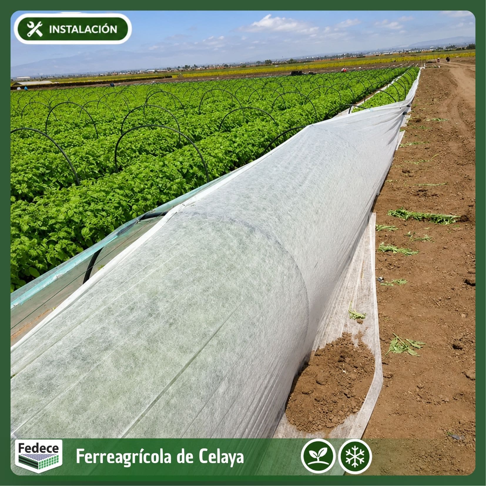 AGROVELO