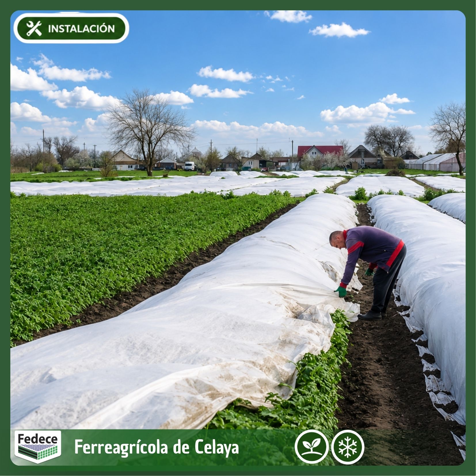 AGROVELO