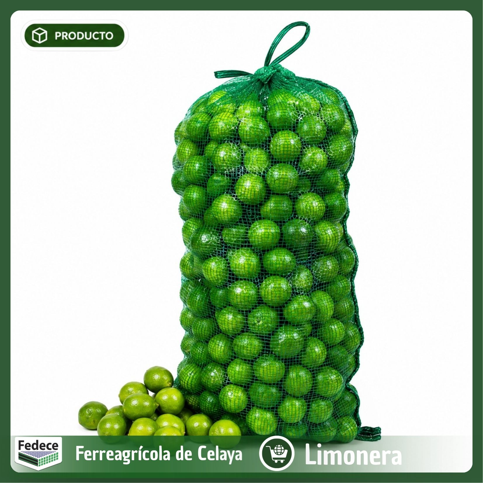 ARPILLA NACIONAL