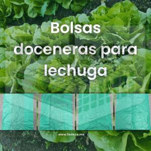 BOLSA PARA LECHUGA
