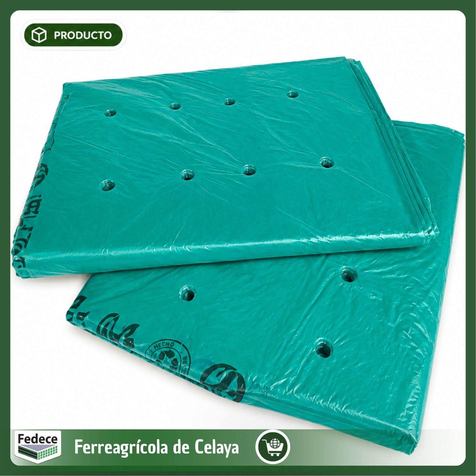 BOLSA PARA LECHUGA