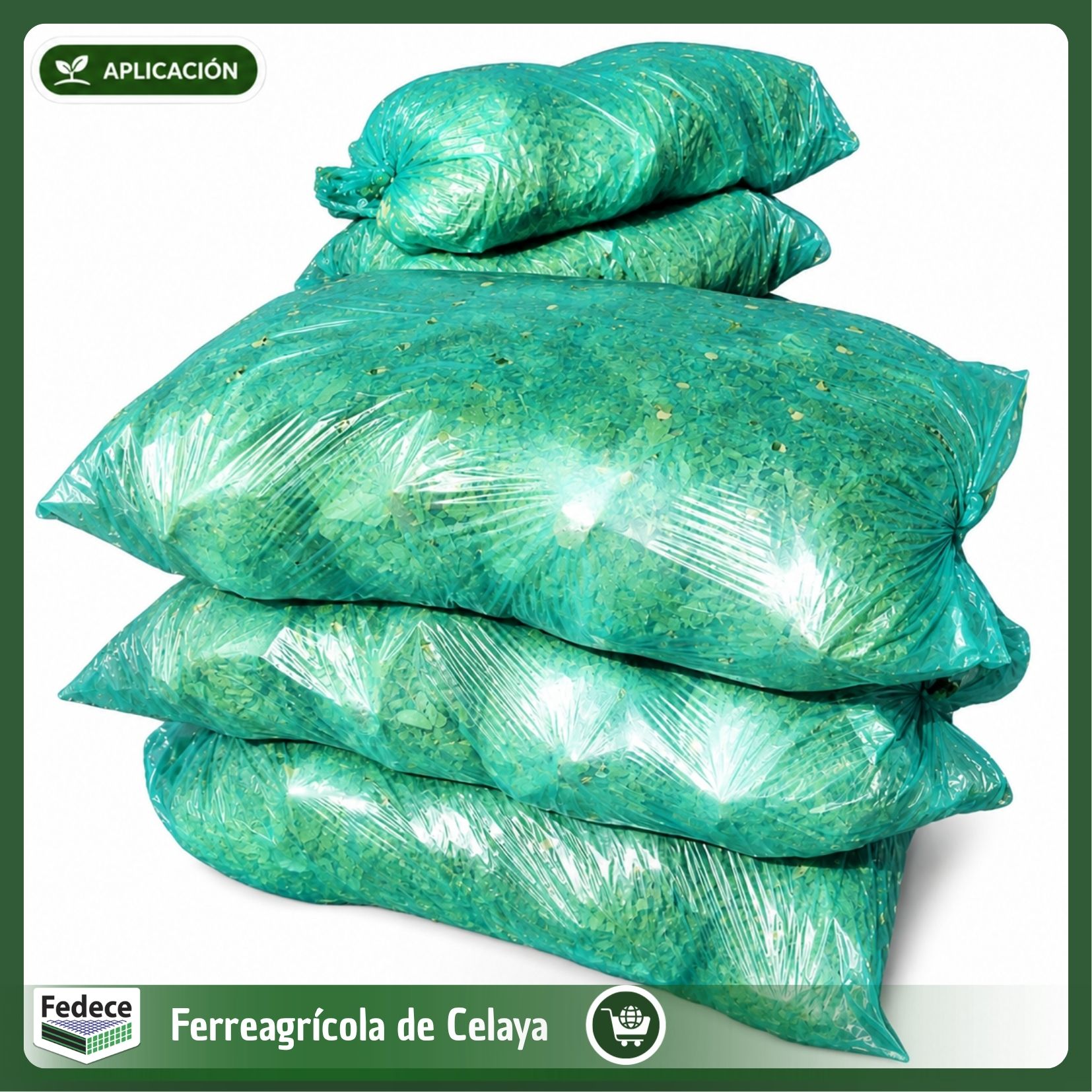 BOLSA PARA LECHUGA