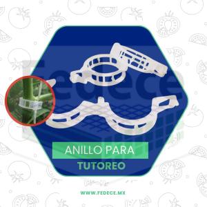 ANILLO PARA TUTOREO