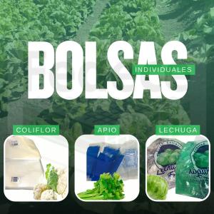 BOLSAS INDIVIDUALES