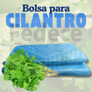 BOLSA PARA CILANTRO