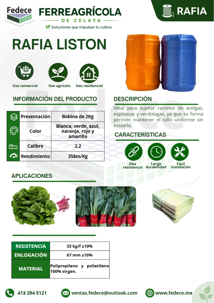 Portada de ficha técnica de RAFIA DECORATIVA