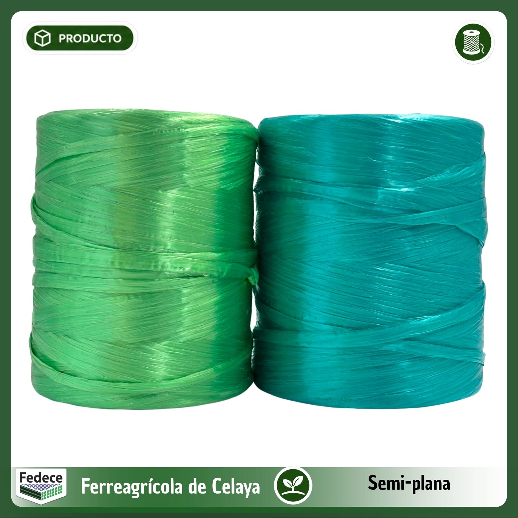 RAFIA DECORATIVA